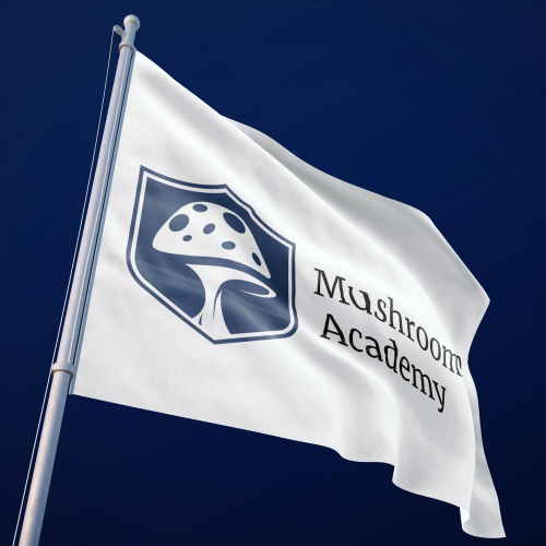 Mushroom Academy Logo