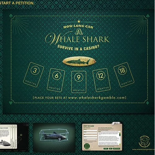 Advertisement