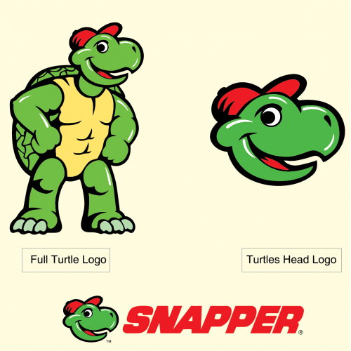Turtle Logo Design