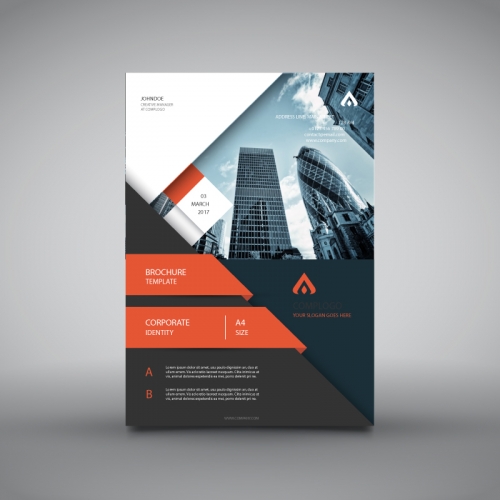 Brochure Design thumb