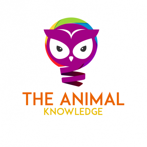 The Animal Knowledge