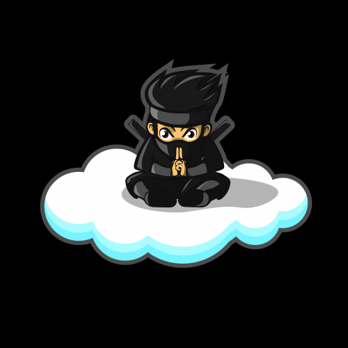 cartoon ninja