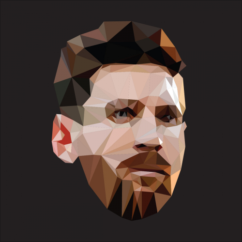 Low Polygon Face