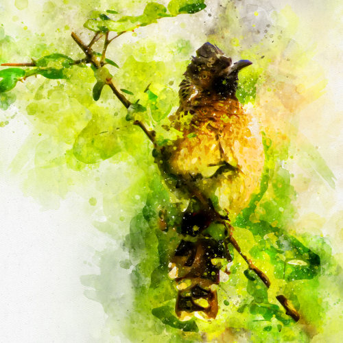 Bird on the Tree
