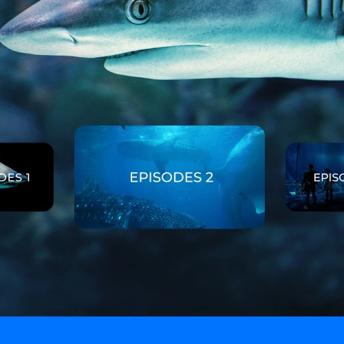 Animal planet