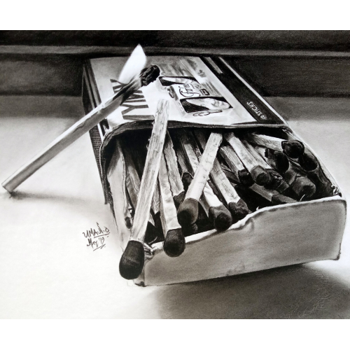 The Box of Life