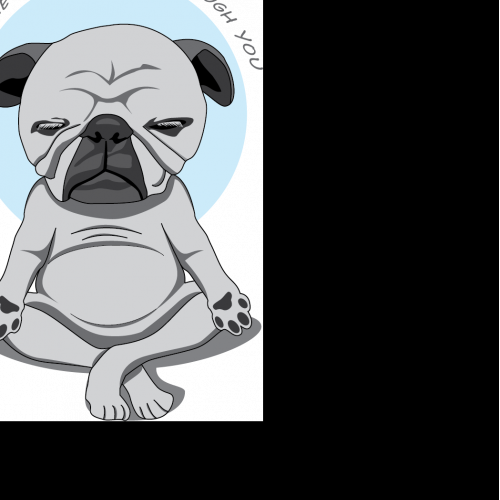 Pug Meditation - Let the Grumpy Flow Through You