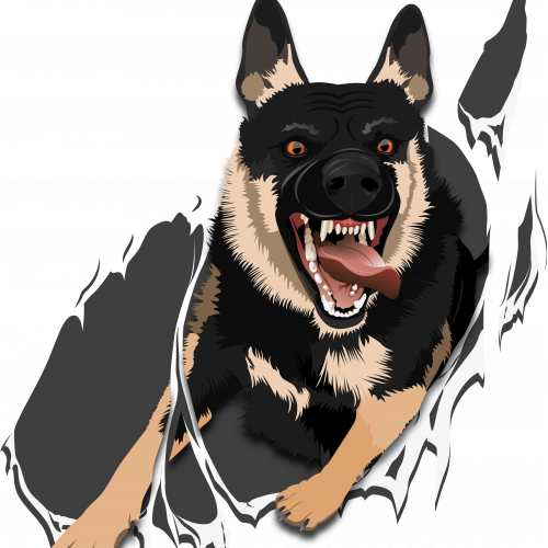 Angry Dog
