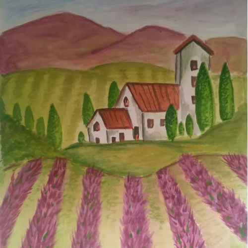 lavender fields