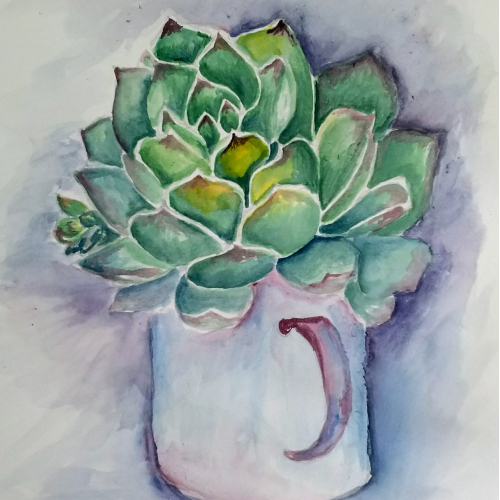 Succulents