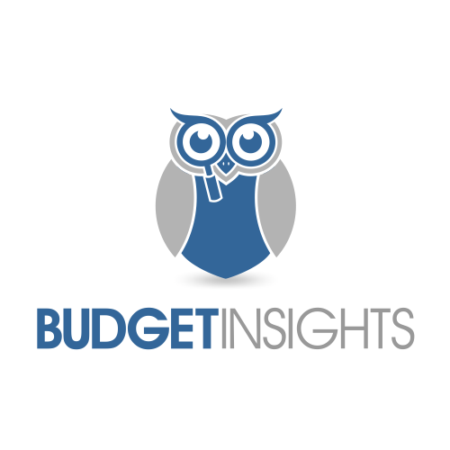 winner for logo BUDGET INSIGHT