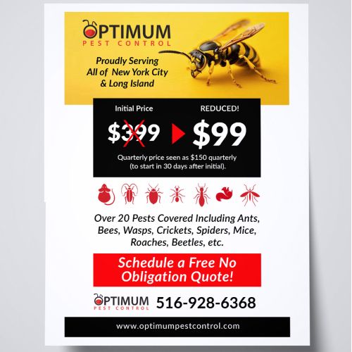 Pest Control Flyer