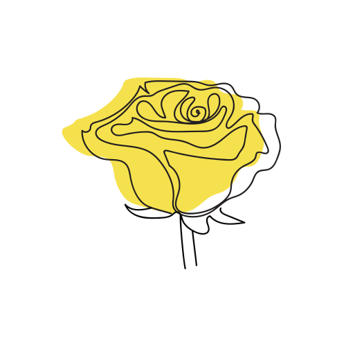 Yellow Roses