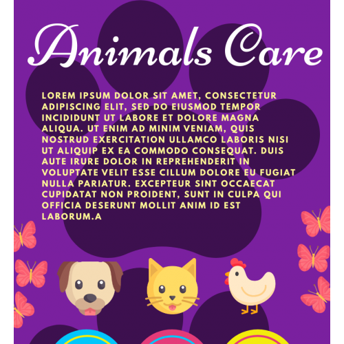 Animals care