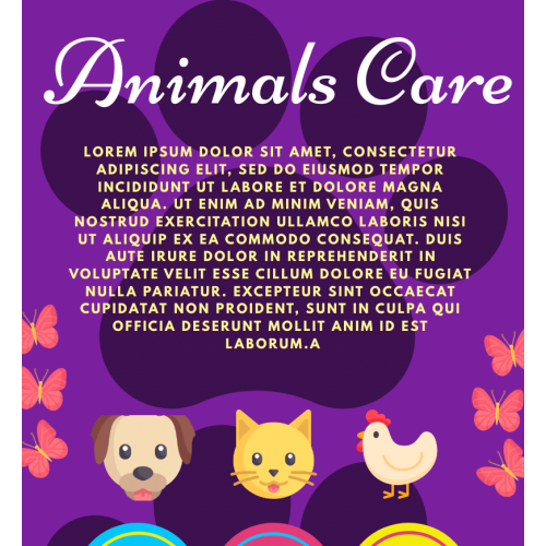 Animals care