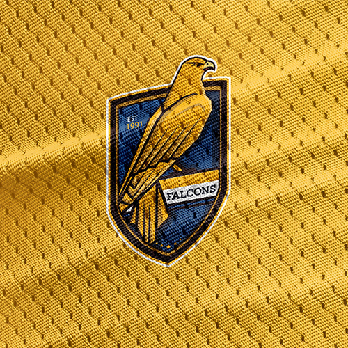 Falcons logo
