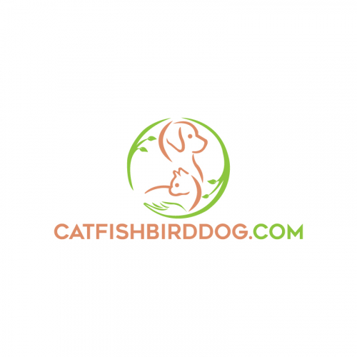 logo design..