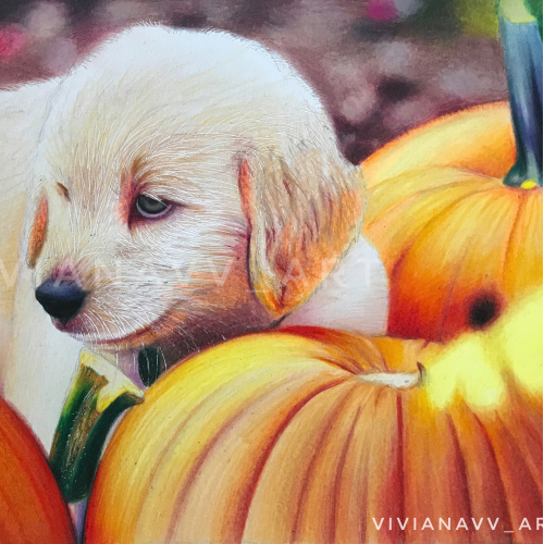 Pupkins