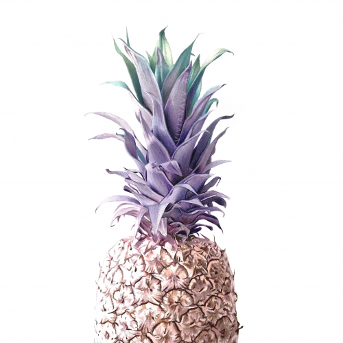 Rose Gold Pineapple