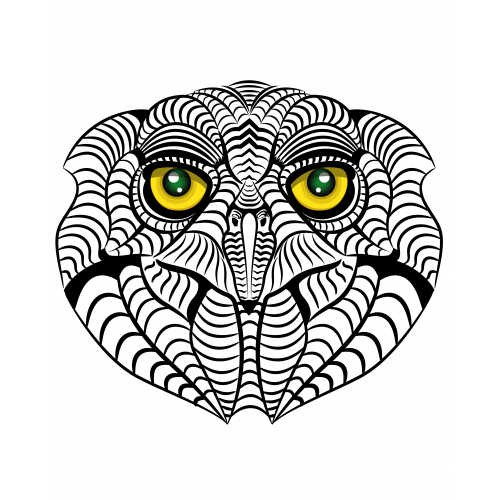 The Owl Line Art