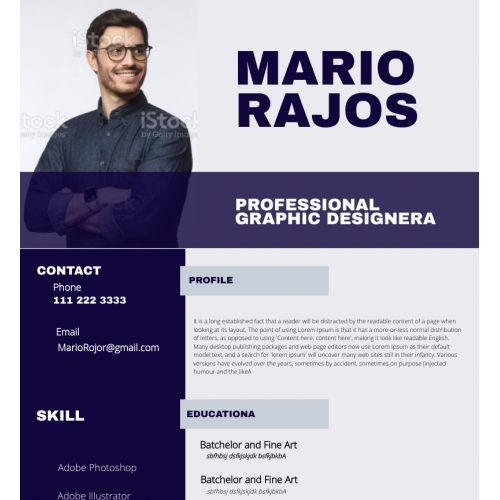 Professional Resume