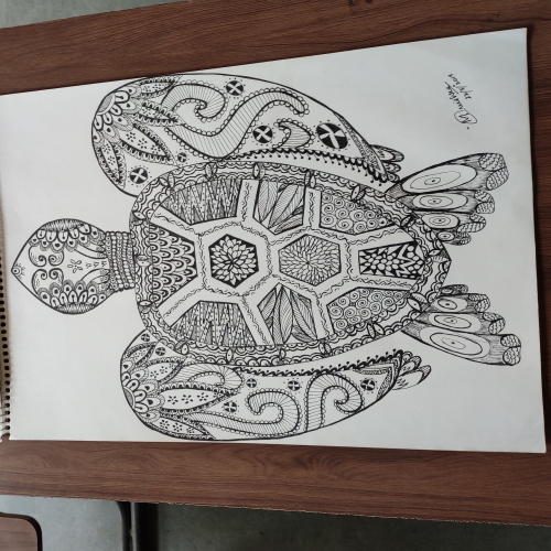 ninja turtles