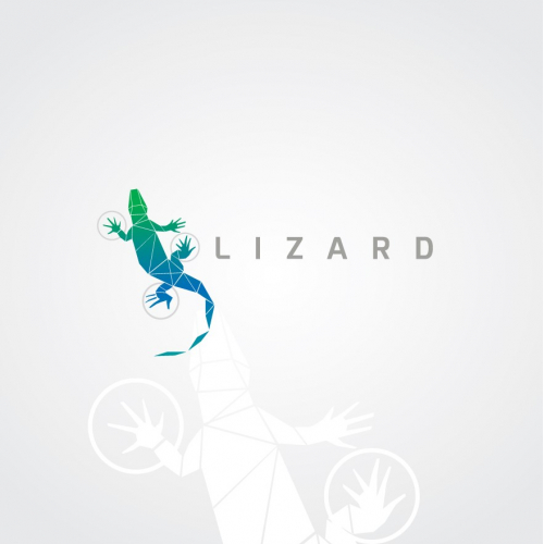 Lizard 2
