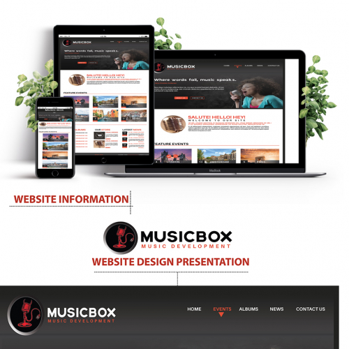 WEBSITE DESIGN