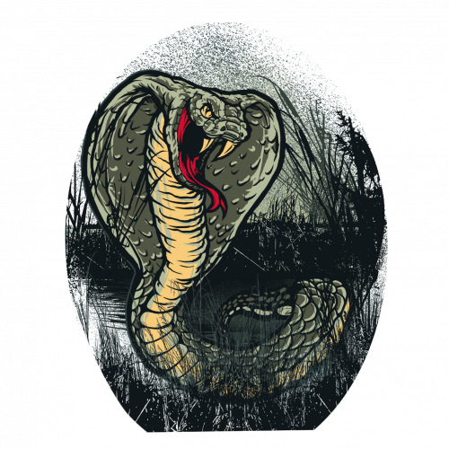 Fighter Snake