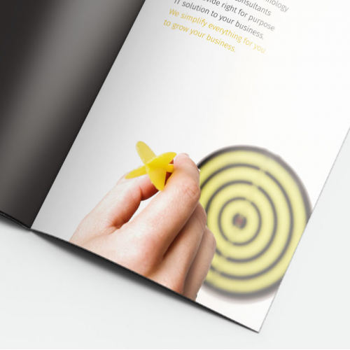 Sunlight IT Company Profile