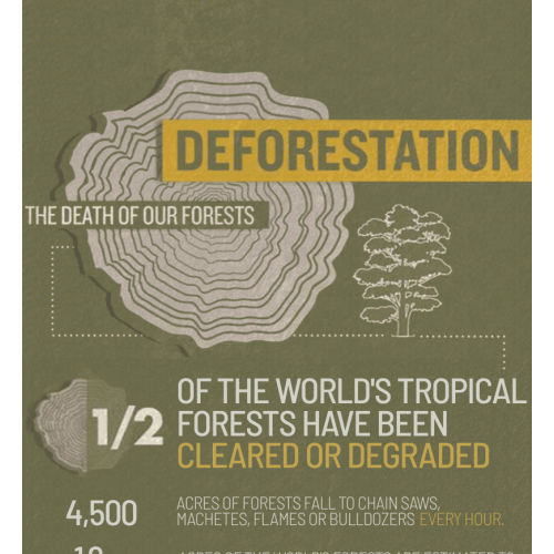 Deforestation