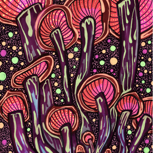 Daydream