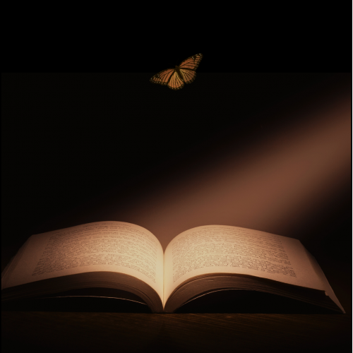 hidden sunlight