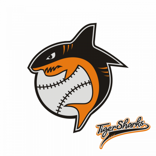 Tiger Sharks logo design thumb