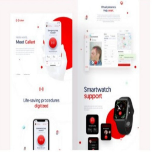 website Design