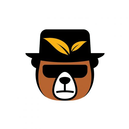cool bear