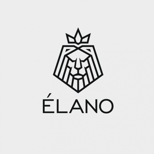 lion logo