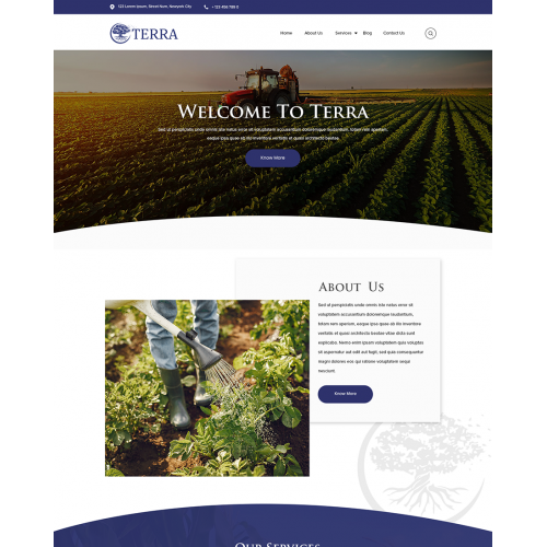 Website Design thumb