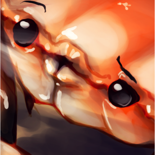 Shellfie