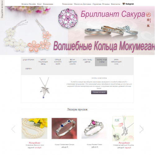 Magento eCommerce Store