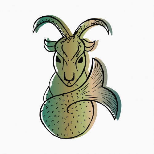 Capricorn