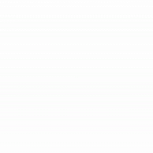 animated logo for CodeBrig
