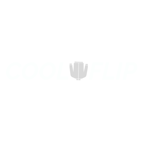 Cool Flip - Bespoke Fashion Logo