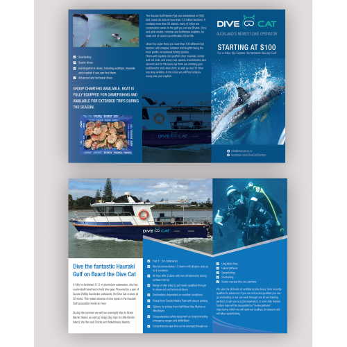 Drive Cat Travel Service Trifold Brochure