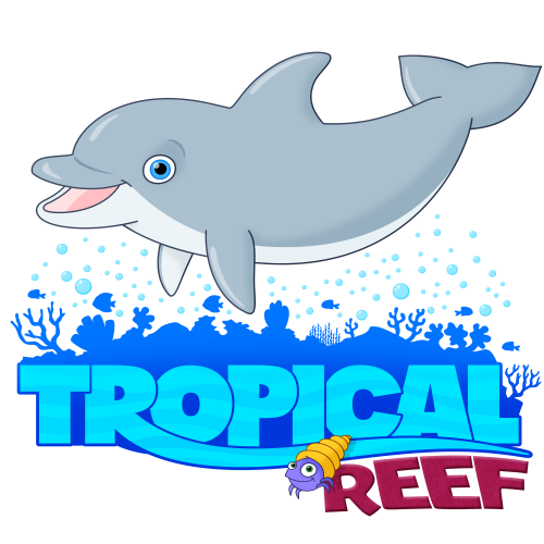 Tropical Reef Dolphin thumb