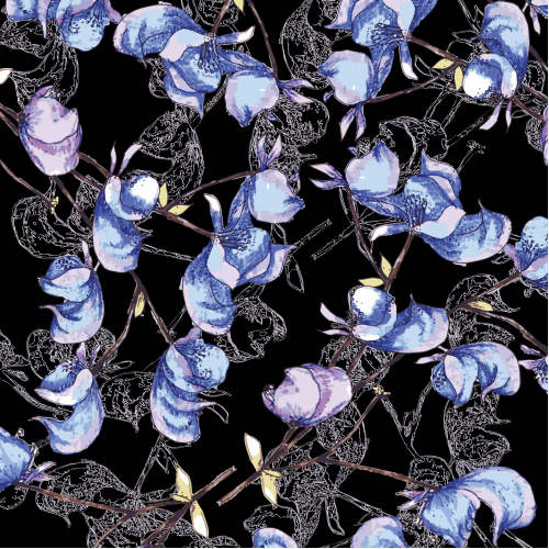 Aconitum thumb