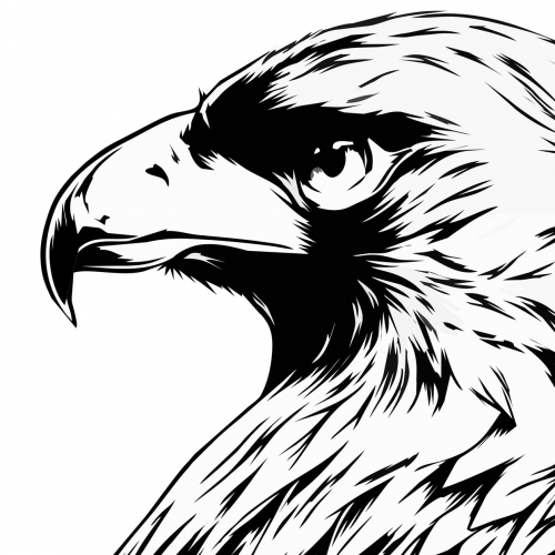 Eagle art