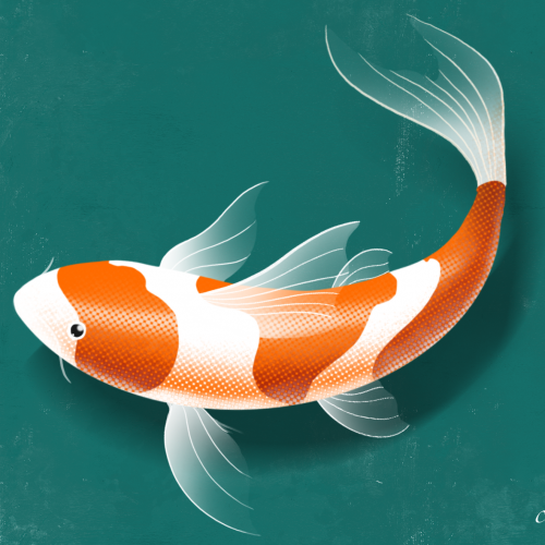 illustration fish thumb