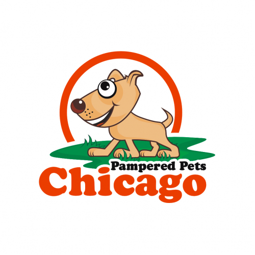 Logo Design thumb