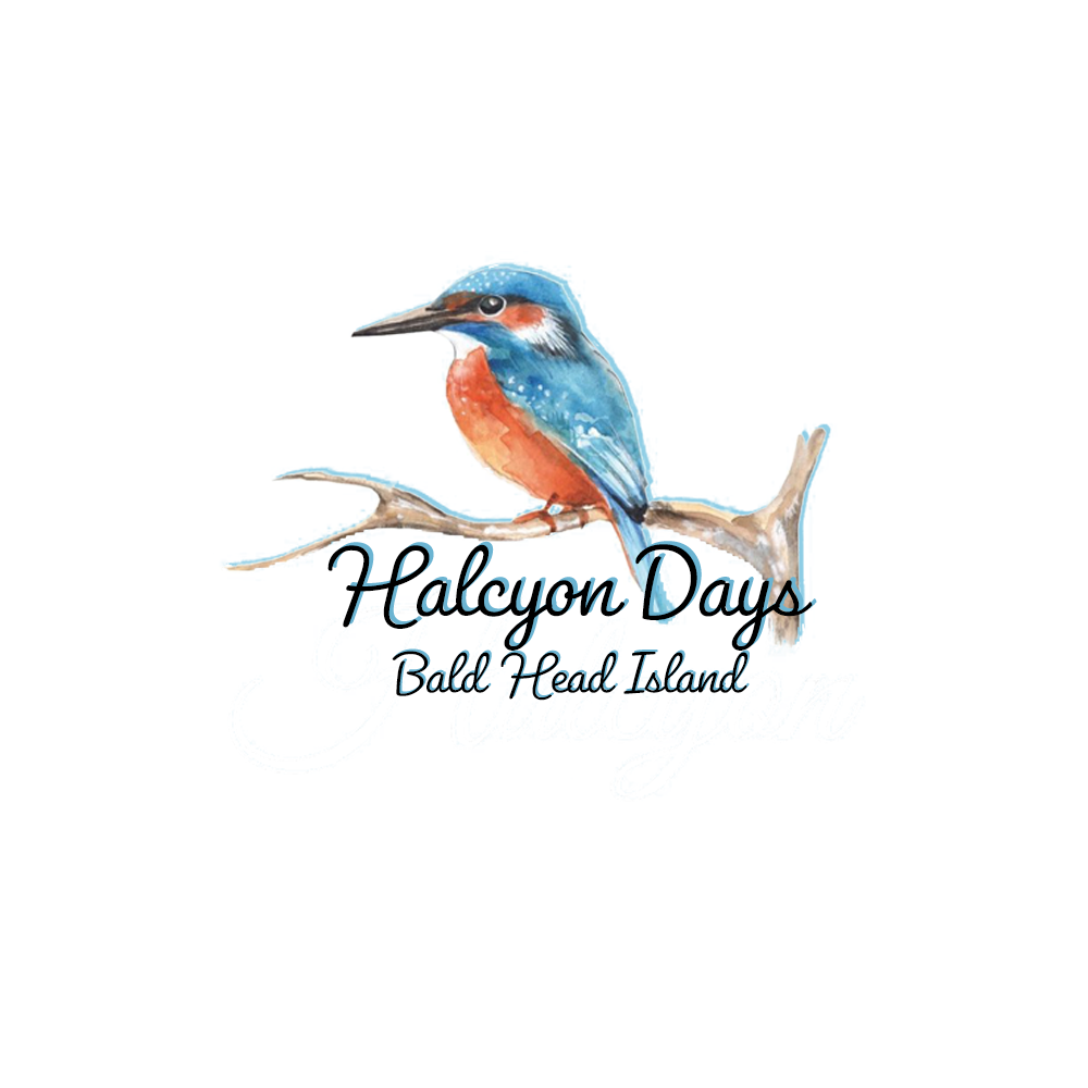 Winning Entry #284 for Logo Design contest - Name our vacation home by the sea - original Winning Entry #284 for Logo Design contest - Name our vacation home by the sea - original